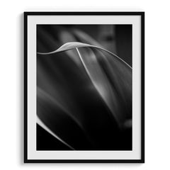 Exquisite Vibrancy Wall Art Frames