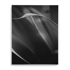 Exquisite Vibrancy Wall Art Frames