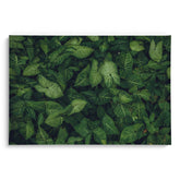 Emerald embrace Wall Art Frames