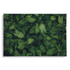 Emerald Embrace Wall Art Frames