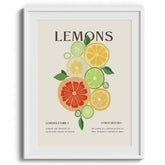 Citrus Family Canvas Wall Paintings