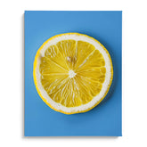Lemon Slice Minimalist Wall Art Decor