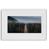 Misty Forest Autumn Road