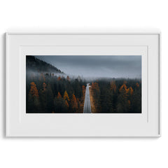 Misty Forest Autumn Road