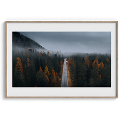 Misty Forest Autumn Road