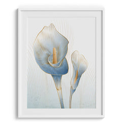 Tulip Beauty Wall Art Decor