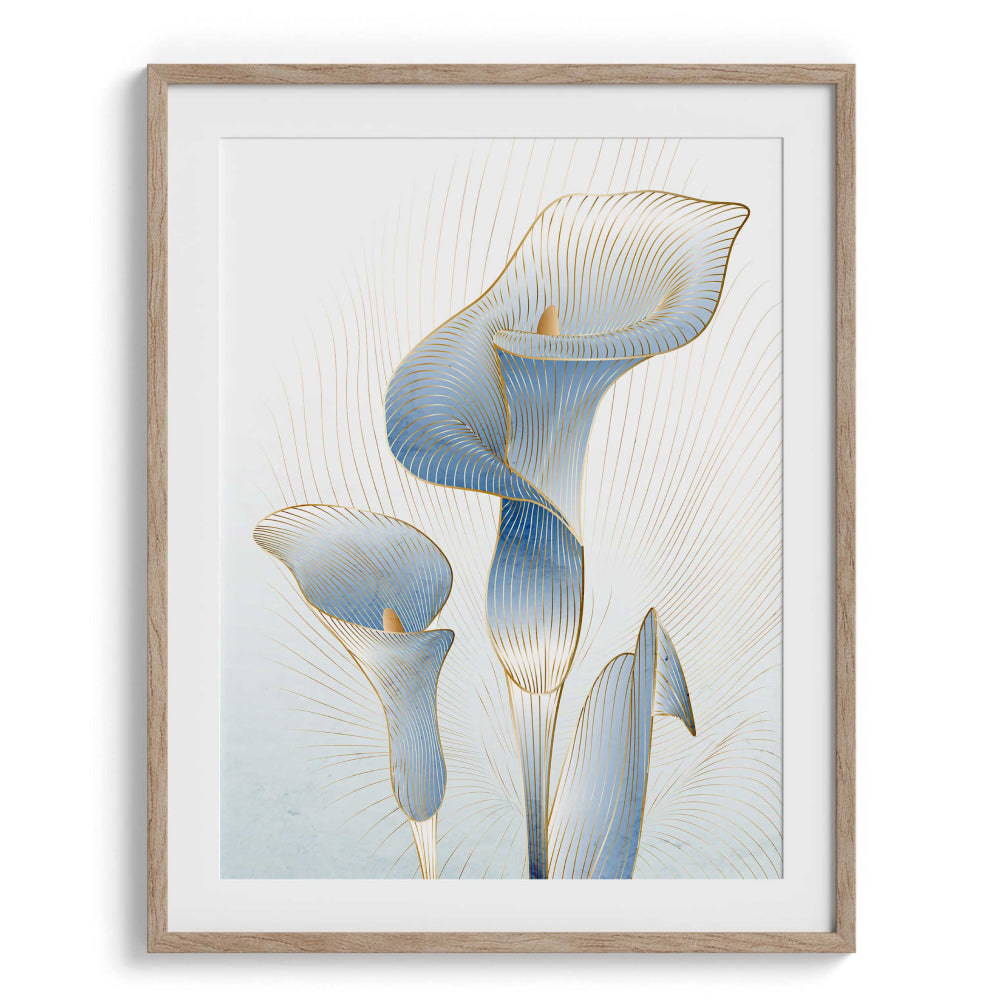 Tulip Beauty Canvas Wall Prints