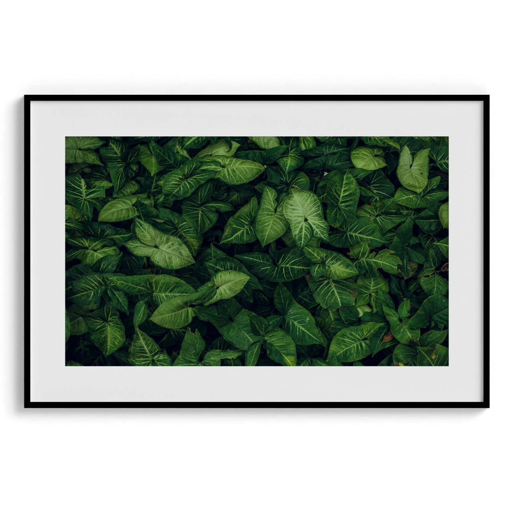 Emerald embrace Wall Art Frames