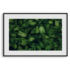 Emerald embrace Wall Art Frames