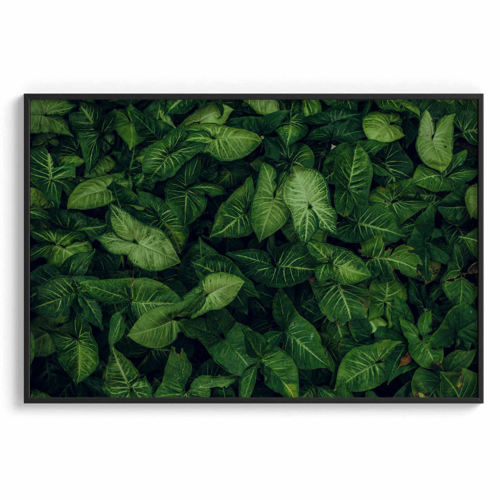 Emerald embrace Wall Art Frames