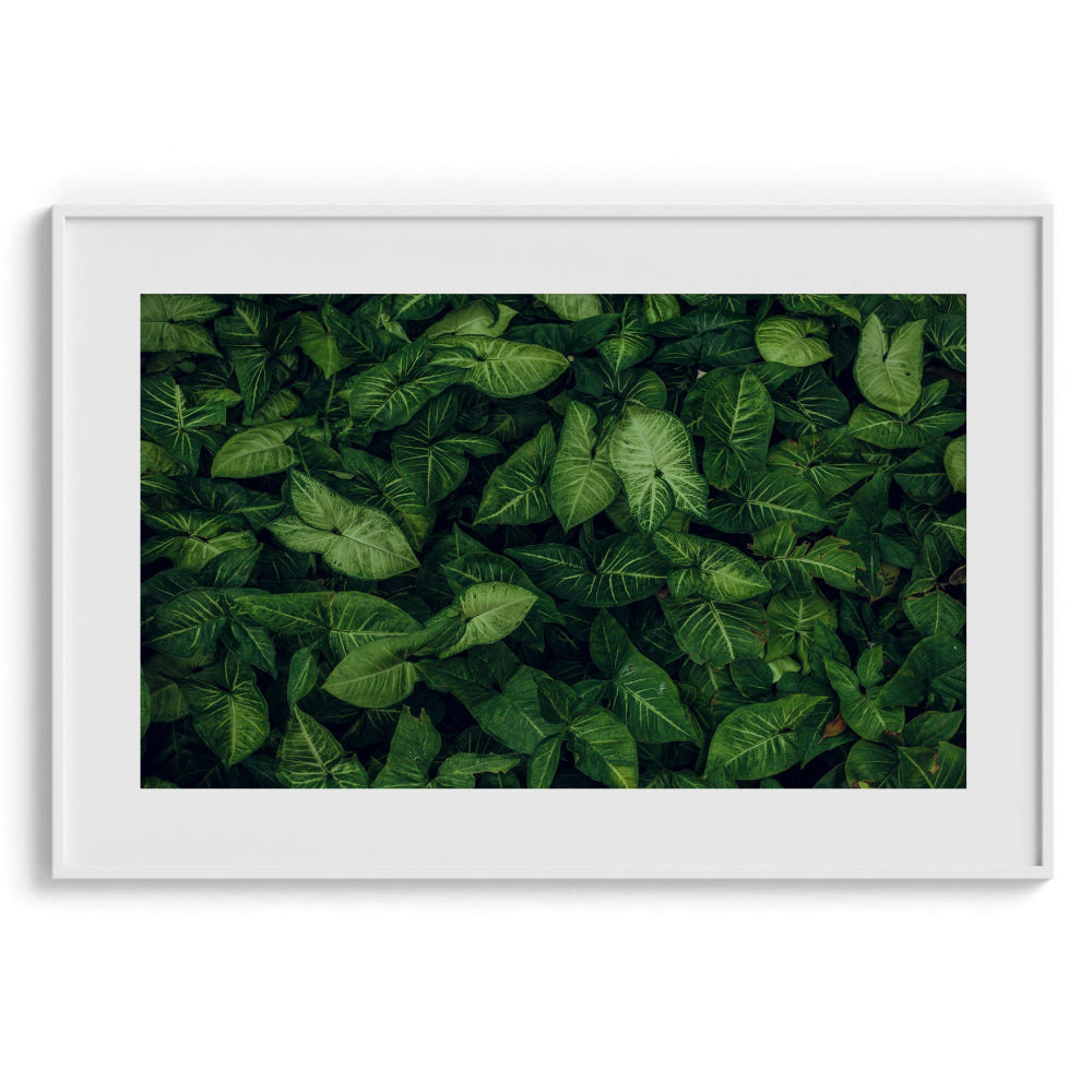 Emerald embrace Wall Art Frames
