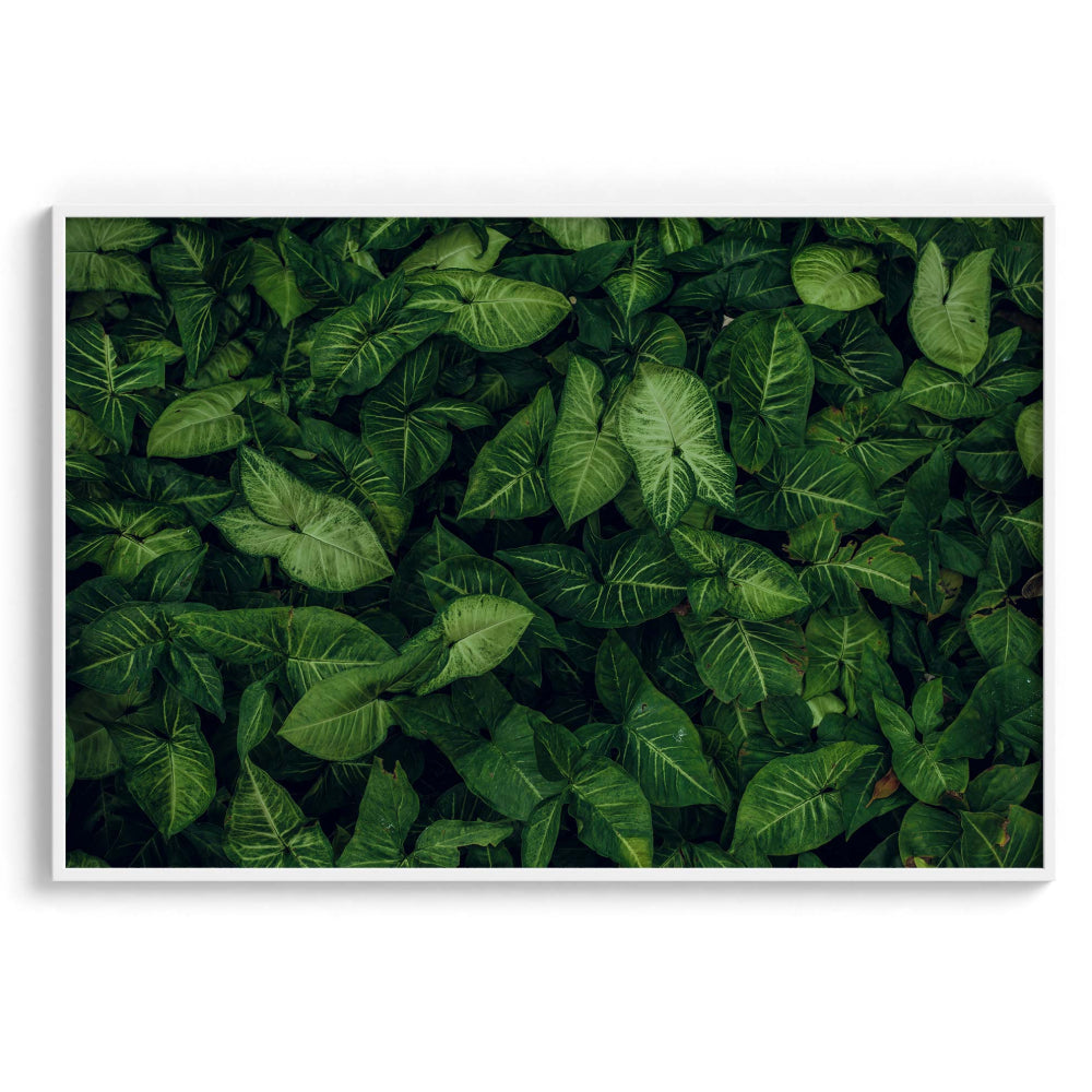 Emerald embrace Wall Art Frames