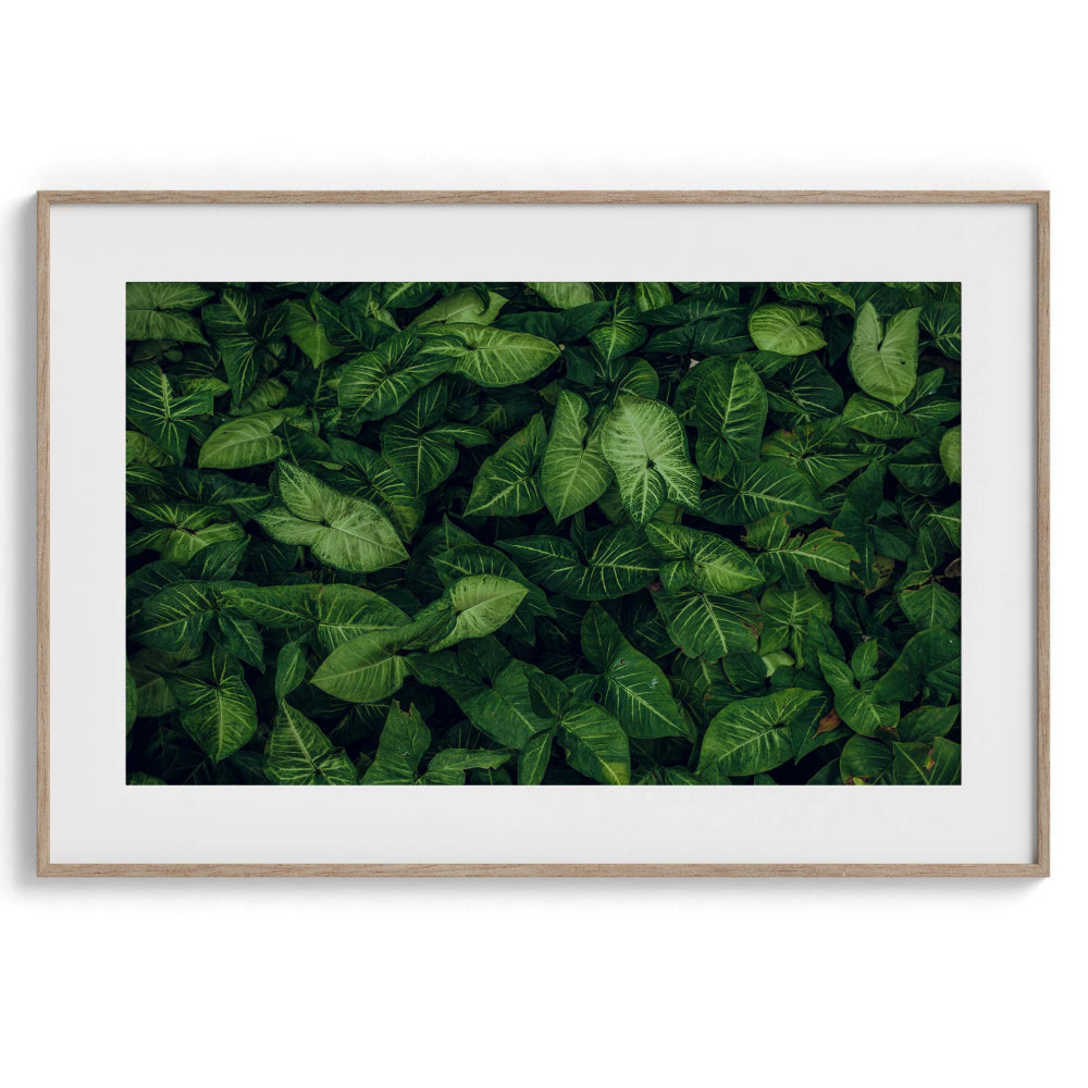 Emerald embrace Wall Art Frames