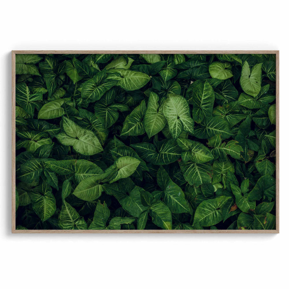 Emerald embrace Wall Art Frames