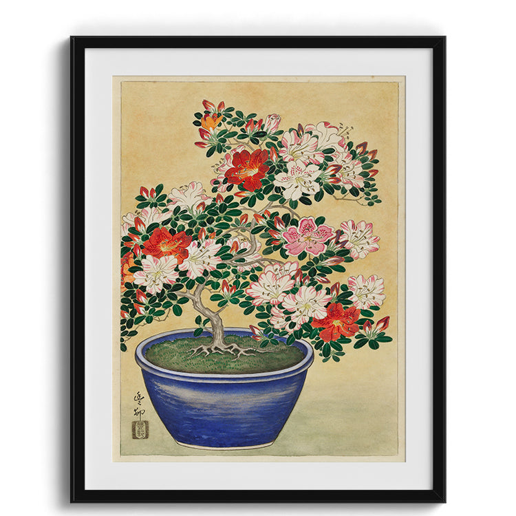 Azalea Bonsai Botanical Painting