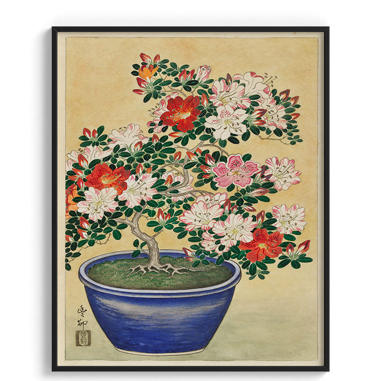 Azalea Bonsai Botanical Painting