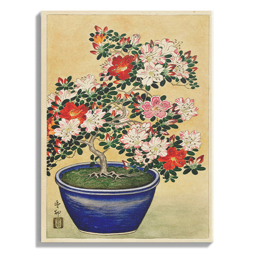 Azalea Bonsai Botanical Painting
