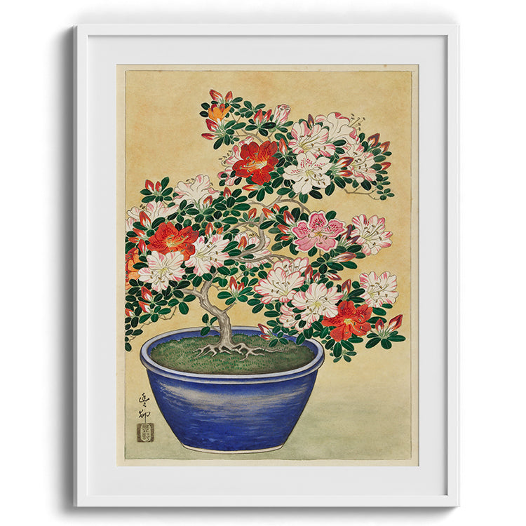 Azalea Bonsai Botanical Painting