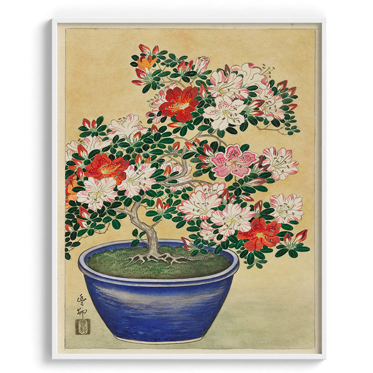 Azalea Bonsai Botanical Painting