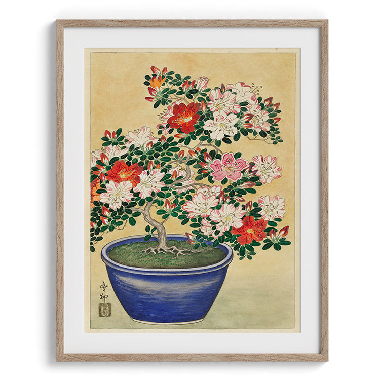 Azalea Bonsai Botanical Painting