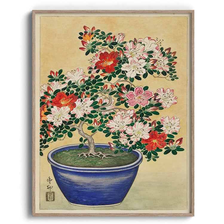 Azalea Bonsai Botanical Painting