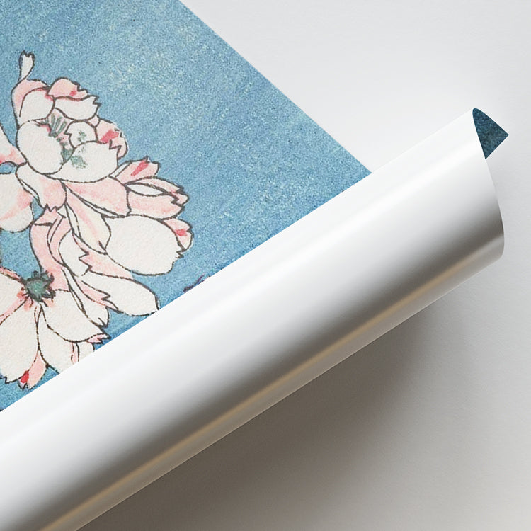 Cherry Blossom Branch on Blue