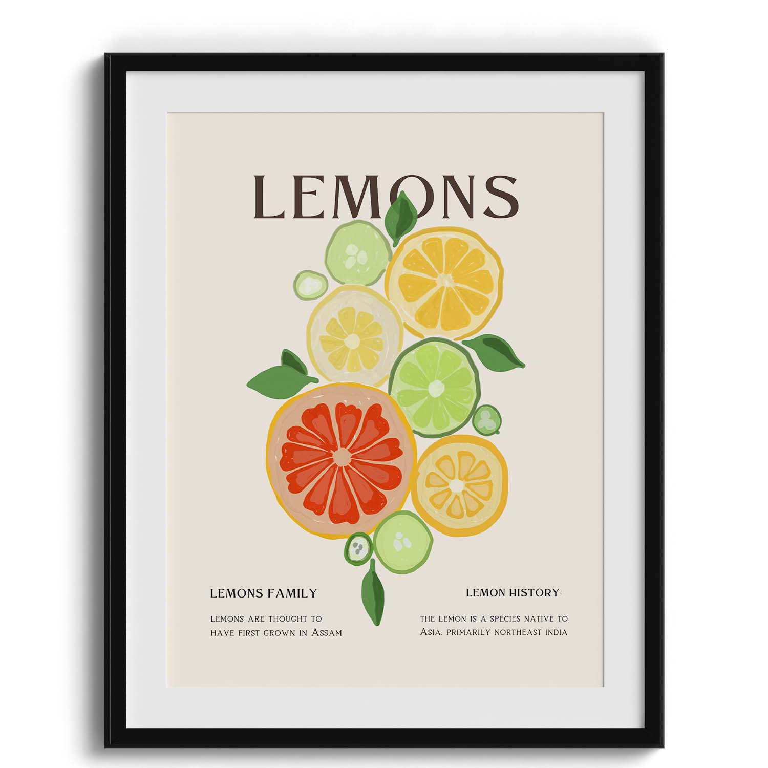 Citrus Family Canvas Wall Paintings