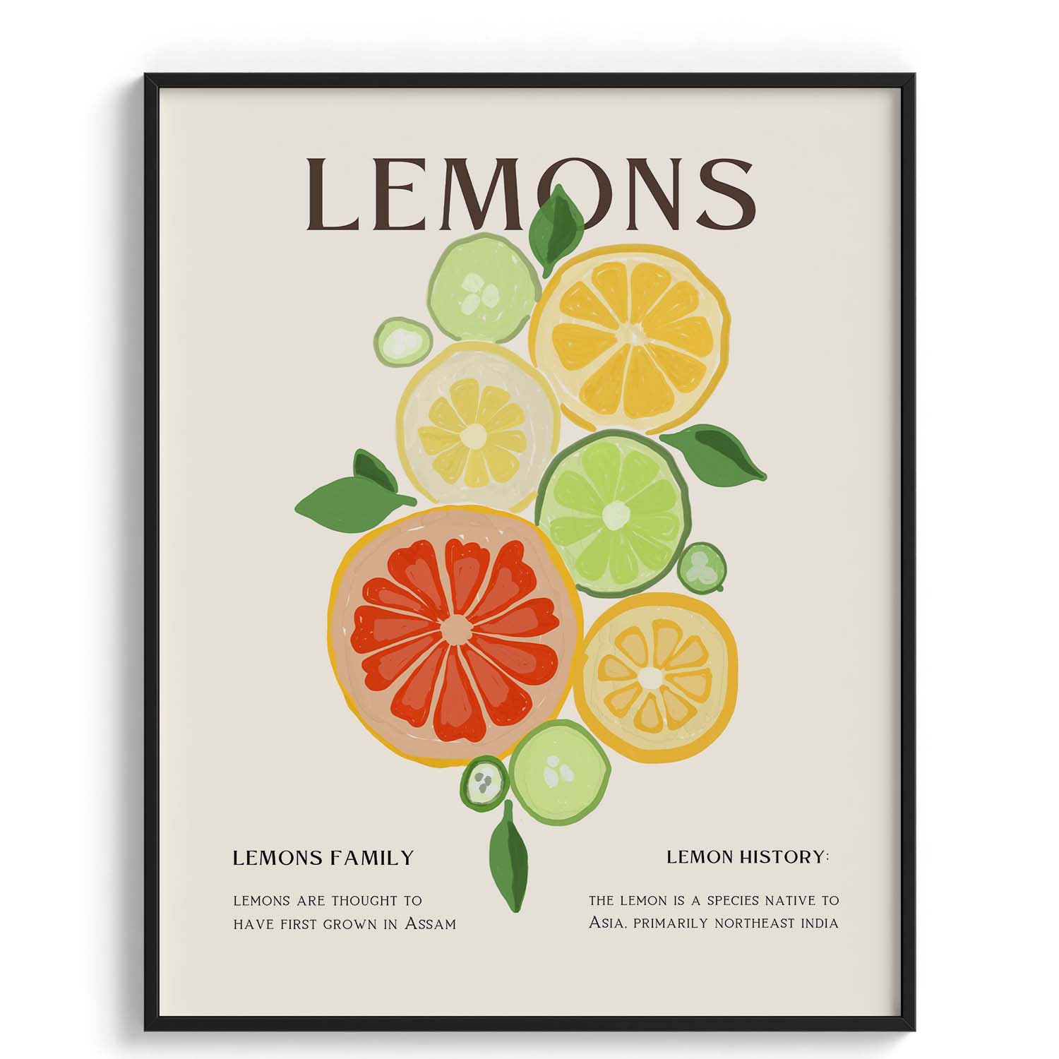 Citrus Family Canvas Wall Paintings