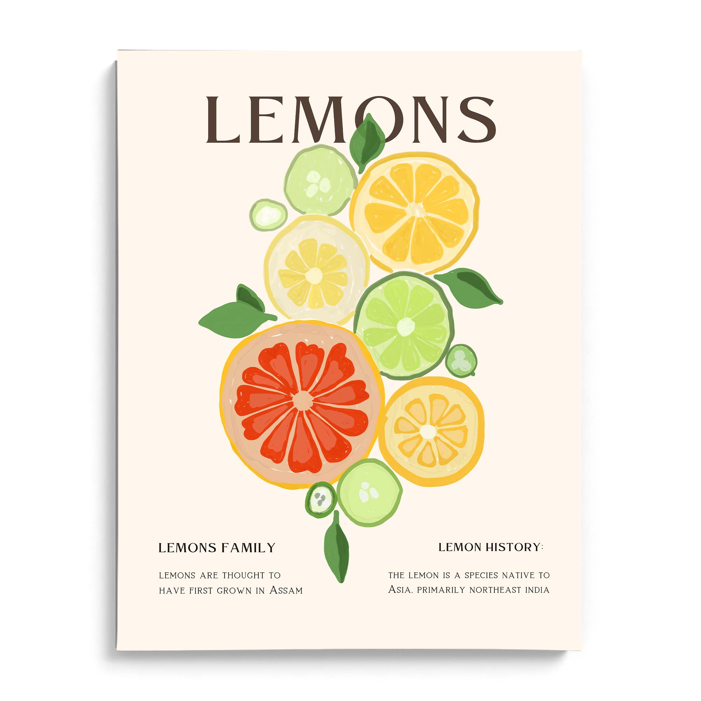 Citrus Family Canvas Wall Paintings