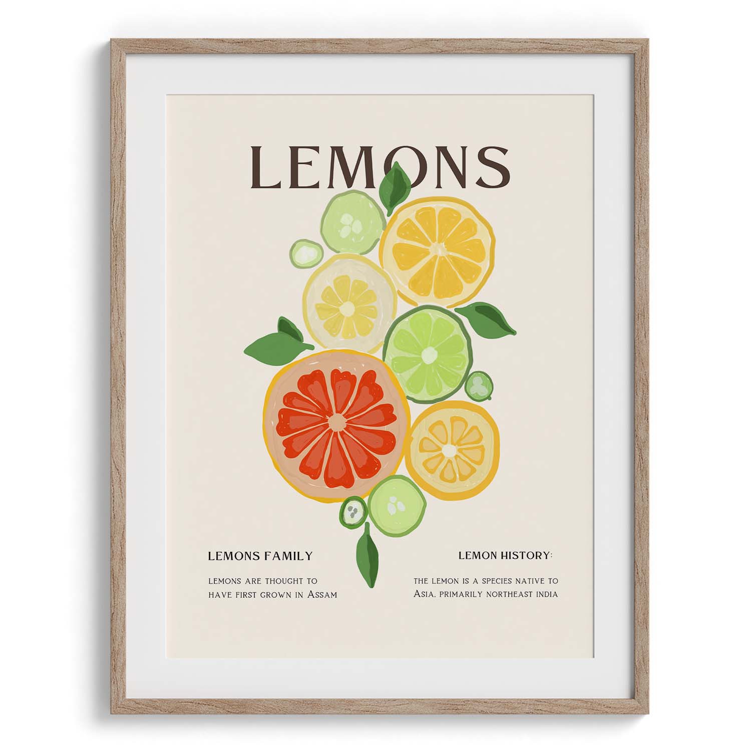 Citrus Family Canvas Wall Paintings