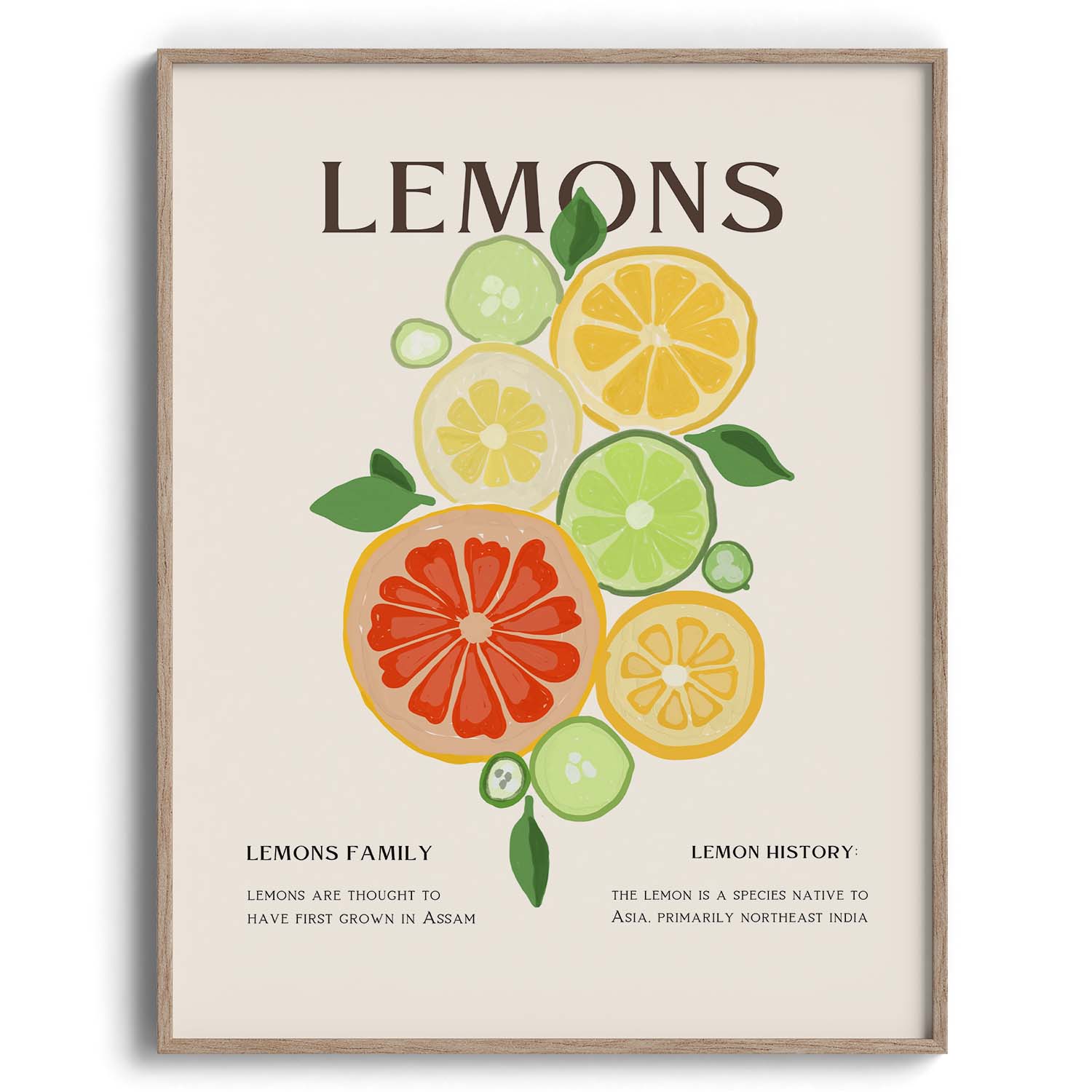 Citrus Family Canvas Wall Paintings