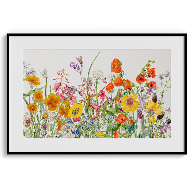 Delicate Field Wildflowers Watercolor