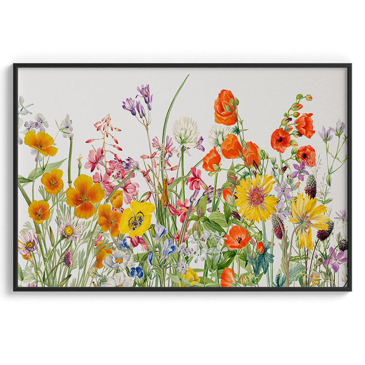 Delicate Field Wildflowers Watercolor