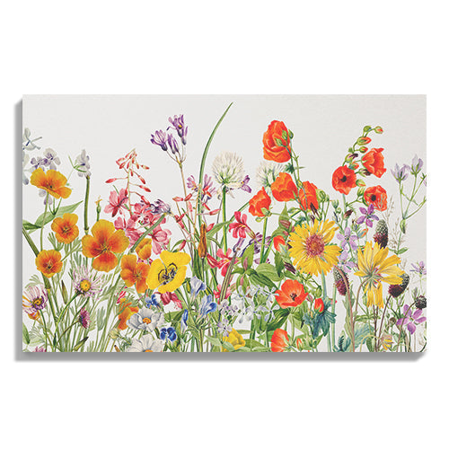 Delicate Field Wildflowers Watercolor