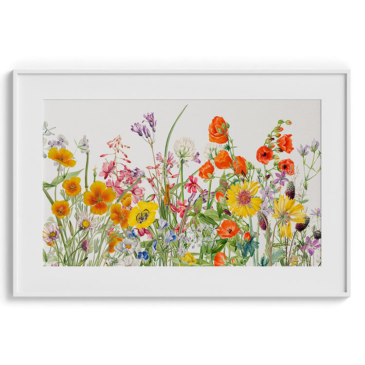 Delicate Field Wildflowers Watercolor