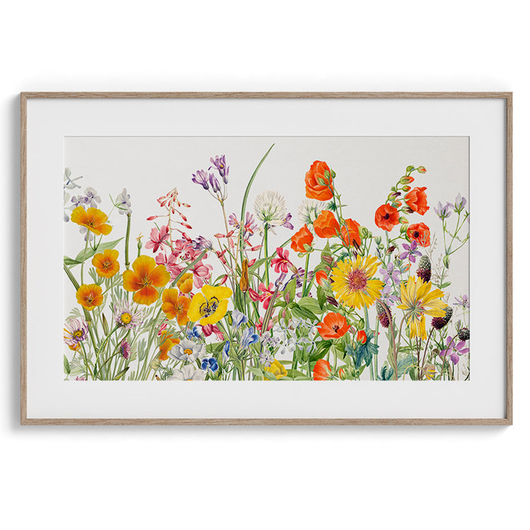 Delicate Field Wildflowers Watercolor