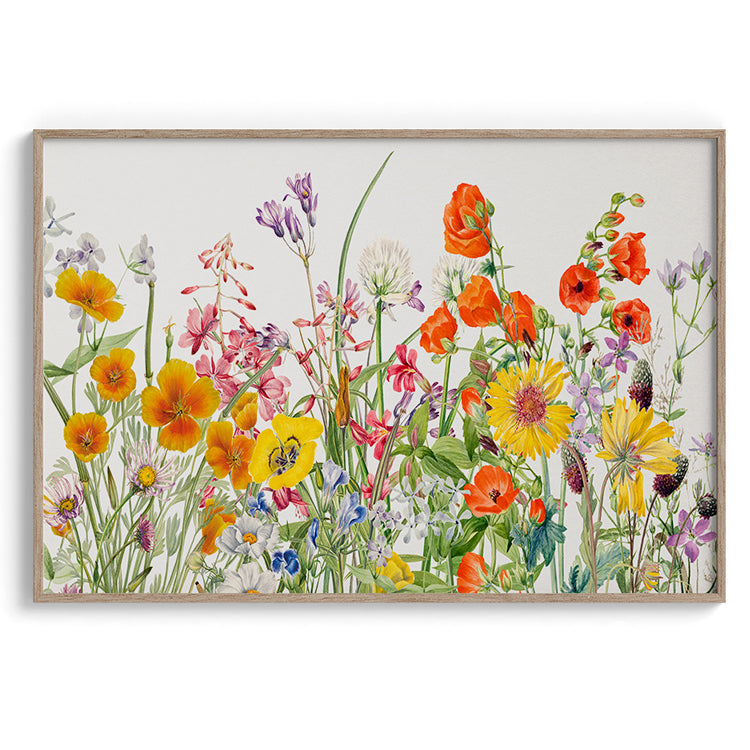 Delicate Field Wildflowers Watercolor