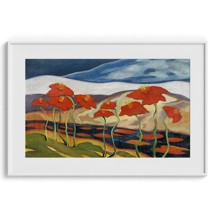 Field of Red Poppies Landscape