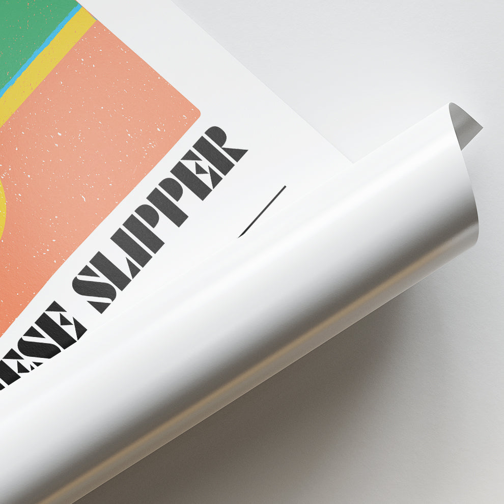 Japanese Slipper Canvas Wall Paintings