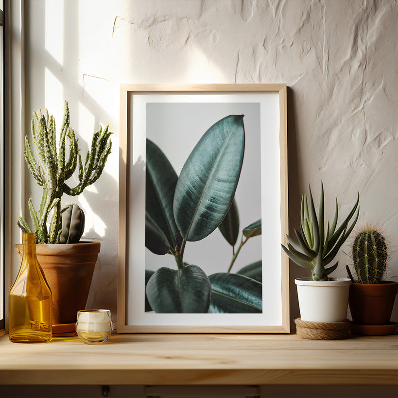 Minimal Rubber Plant Botanical Photo