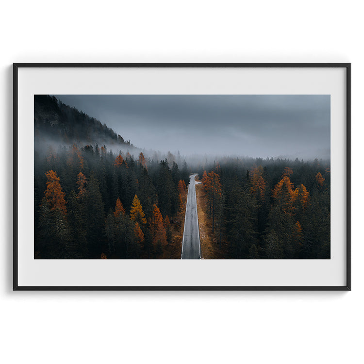 Misty Forest Autumn Road