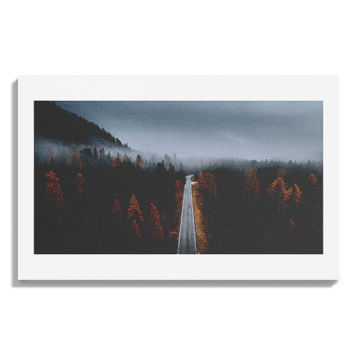 Misty Forest Autumn Road