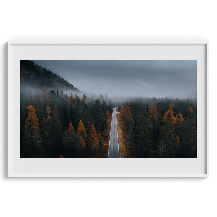 Misty Forest Autumn Road