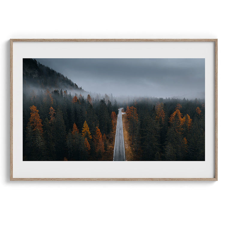 Misty Forest Autumn Road
