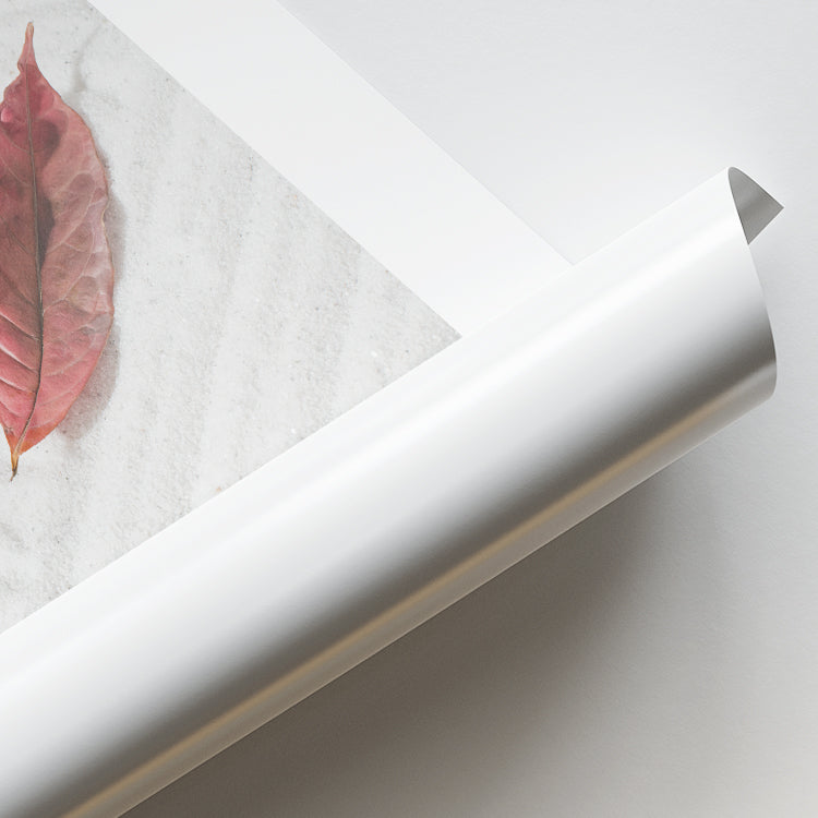 Zen Sand Garden with Red Leaf